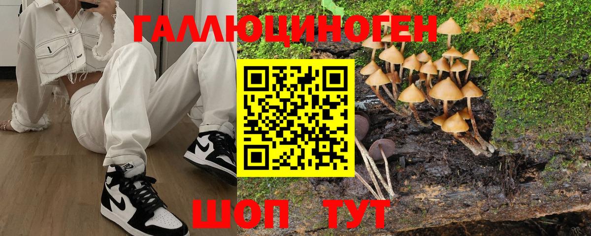 купить наркотик  Галлюциногенные грибы Psilocybine cubensis  Вход с VPN  Соль-Илецк  Галлюциногенные грибы ЛСД 