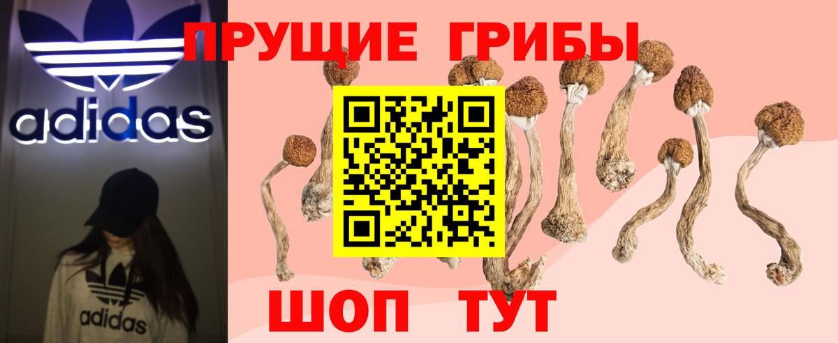 Псилоцибиновые грибы Magic Shrooms Соль-Илецк